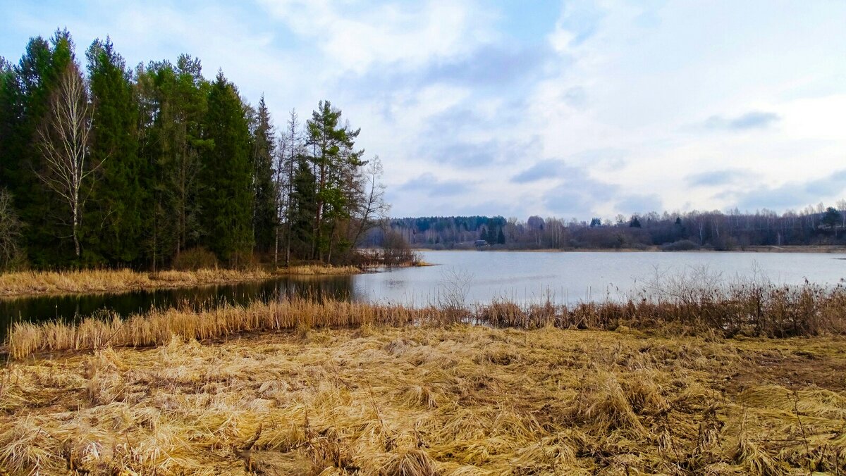 Моя Смоленщина - Милешкин Владимир Алексеевич Моя Смоленщина - Милешкин Владимир Алексеевич