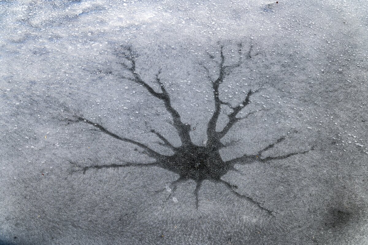 Трещит лёд - Валерий Иванович Трещит лёд - Валерий Иванович