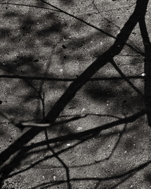 Название отсутствует - Денис Безногов Название отсутствует - Денис Безногов