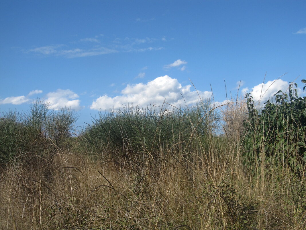 ПРО Новороссийск - Елена Шаламова ПРО Новороссийск - Елена Шаламова