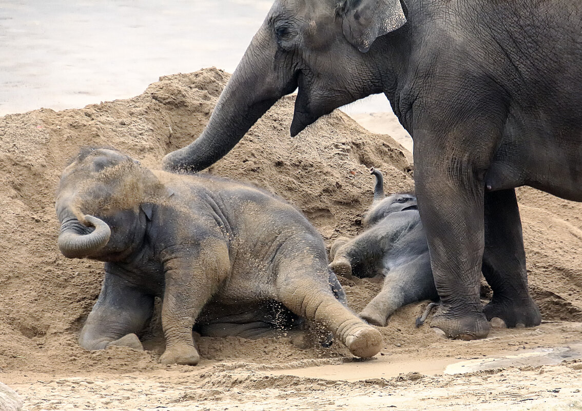 Релакас в песке - Андроник Александр Релакас в песке - Андроник Александр