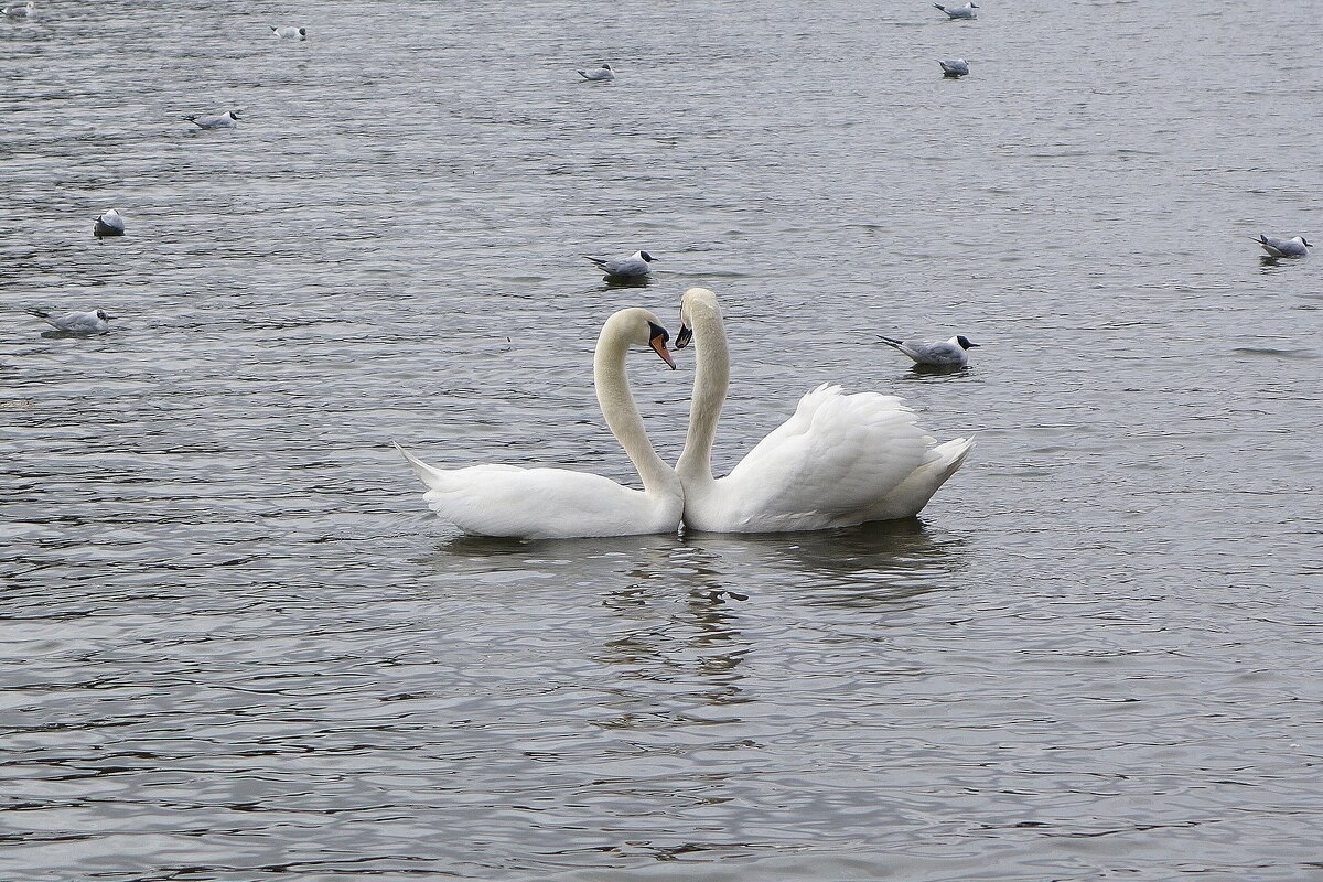 Пошептались - Рита Симонова Пошептались - Рита Симонова