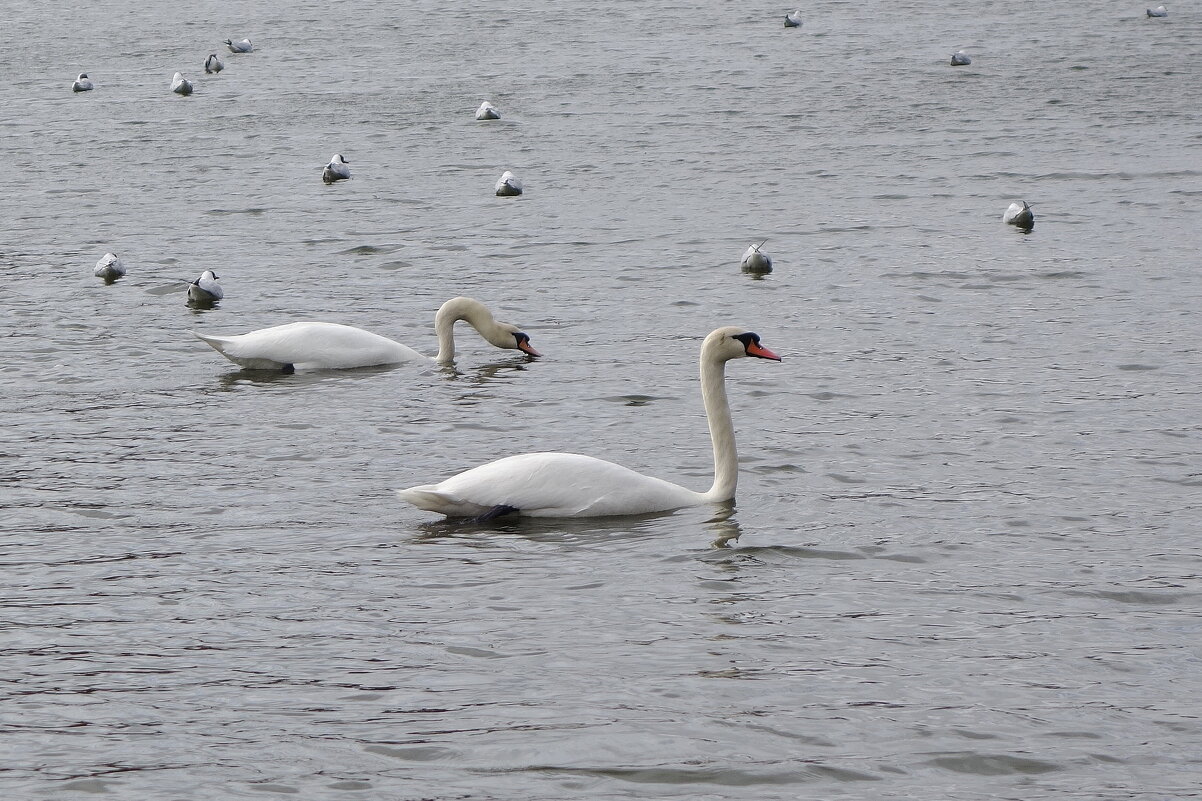Разошлись - Рита Симонова Разошлись - Рита Симонова