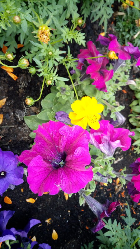 ,,, - Сергей Тимоновский