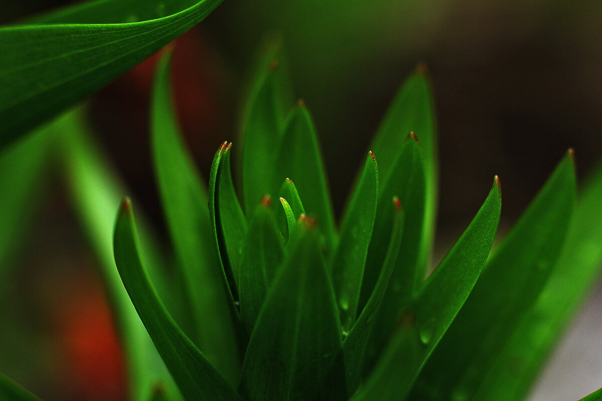 Весна идёт! - Юрий Гайворонскiий