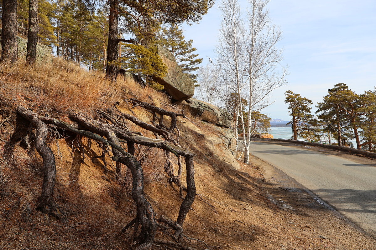 Берег оз.Борового - Александр Ш