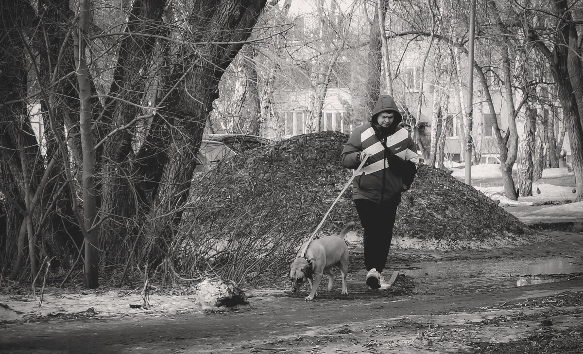 Запахло весной (чб) - Сергей Царёв