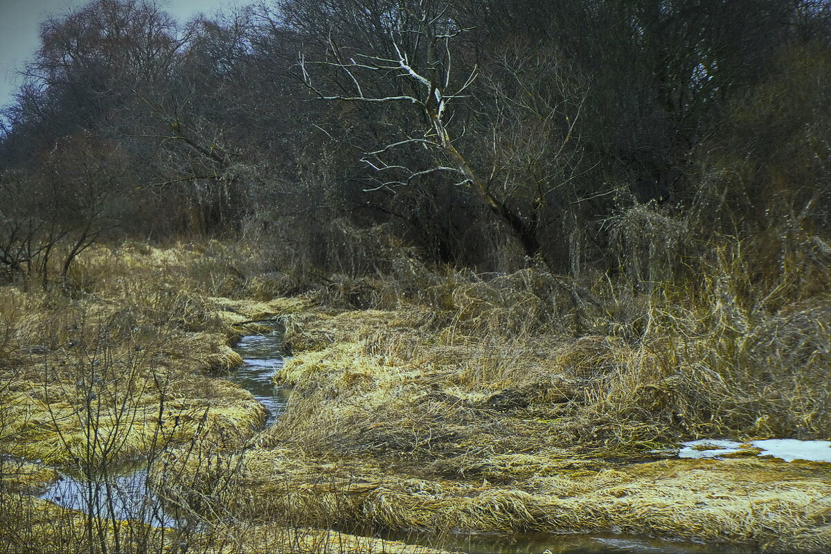 У Чёрной речки... - Владимир Шошин