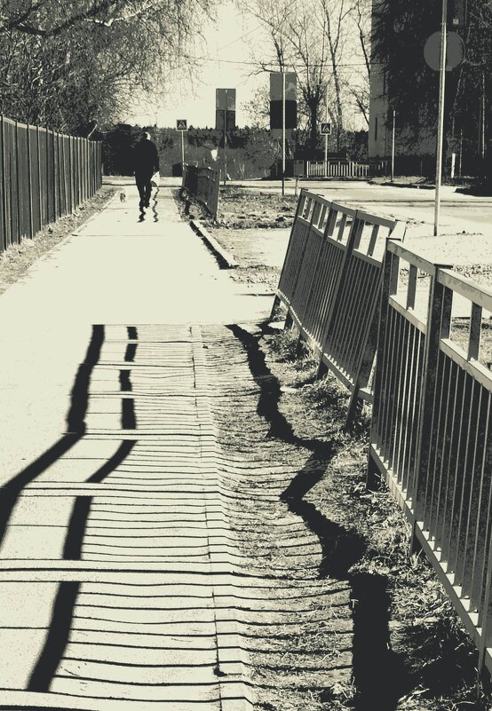 кривые тени солнечного дня - Любовь кривые тени солнечного дня - Любовь