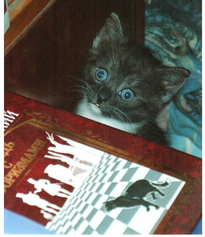 Фотография - чтобы лучше помнилось - Андрей Лукьянов Фотография - чтобы лучше помнилось - Андрей Лукьянов