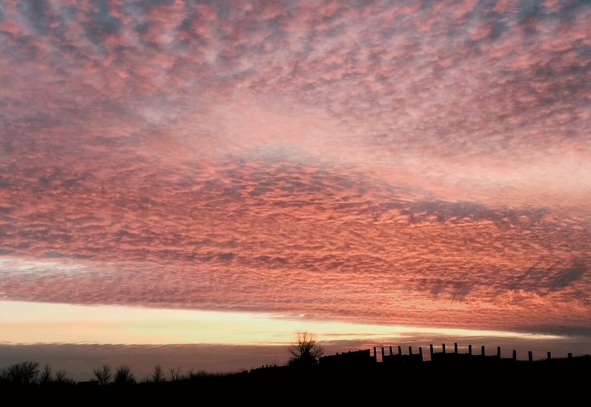 Степные закаты - Георгиевич 