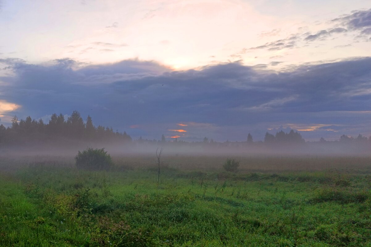Поле перед аэродромом Гривочки - Артем 