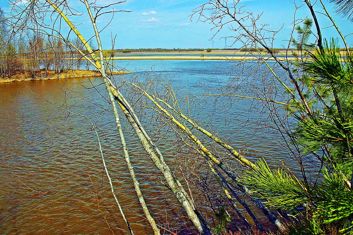 Май...Стрелка Девкиной протоки! - Владимир 