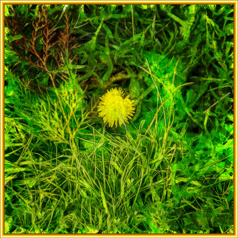 Одуванчик - Анатолий Чикчирный