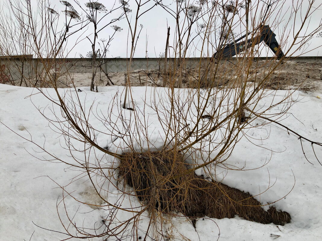 Название отсутствует - Денис Безногов