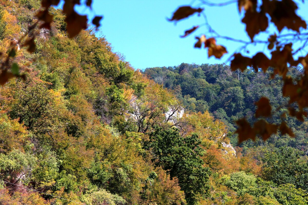 Ab - Андрей Л. В.