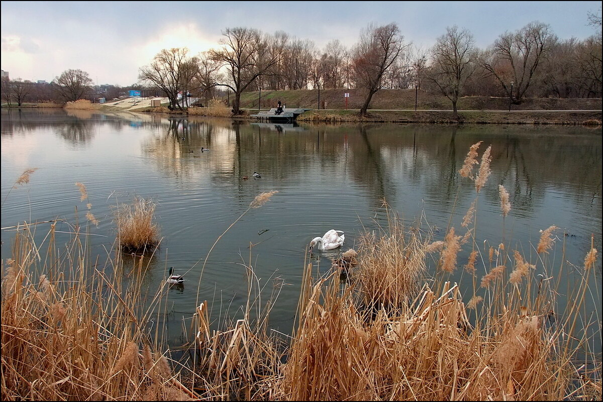 Жизнь на реке - Фёдор Меркурьев