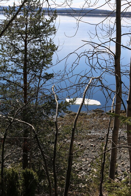 У Белого моря - Ольга У Белого моря - Ольга
