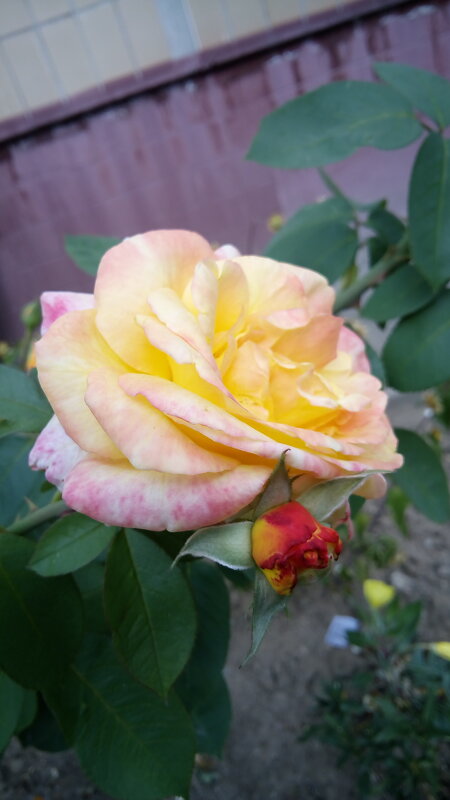 ,,, - Сергей Тимоновский ,,, - Сергей Тимоновский