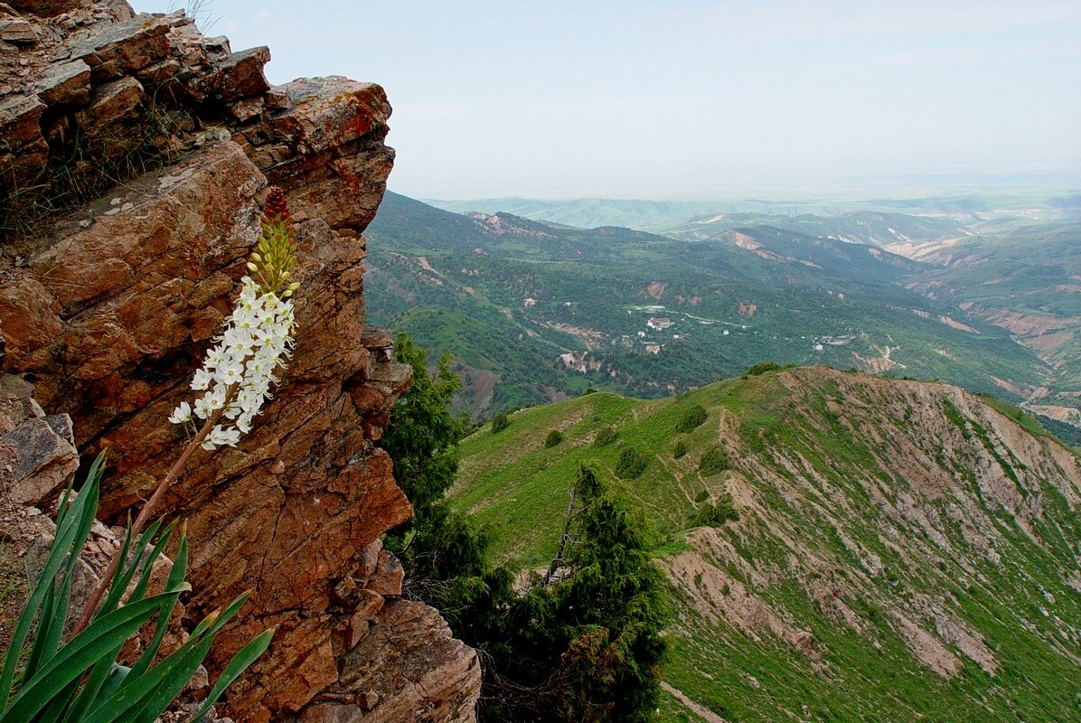 ПРОГУЛКА НА БОЛЬШОЙ ЧИМГАН 3300м. - Виктор Осипчук ПРОГУЛКА НА БОЛЬШОЙ ЧИМГАН 3300м. - Виктор Осипчук