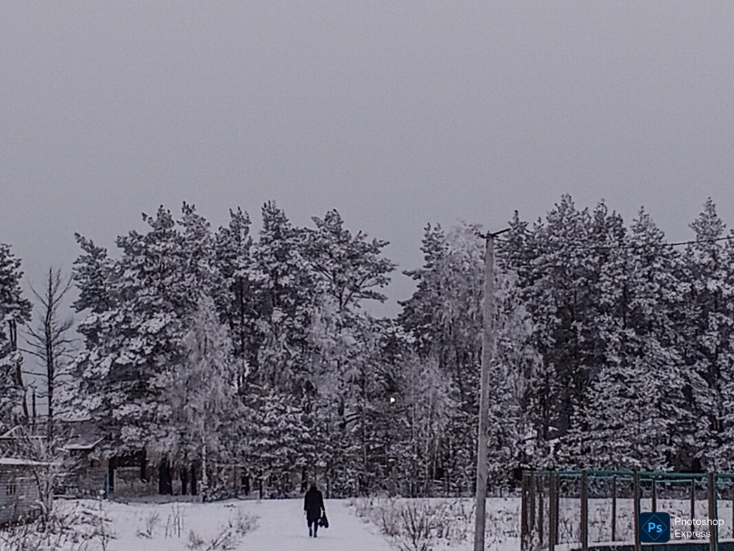 Зимние зарисовки - Юлия Денискина Зимние зарисовки - Юлия Денискина