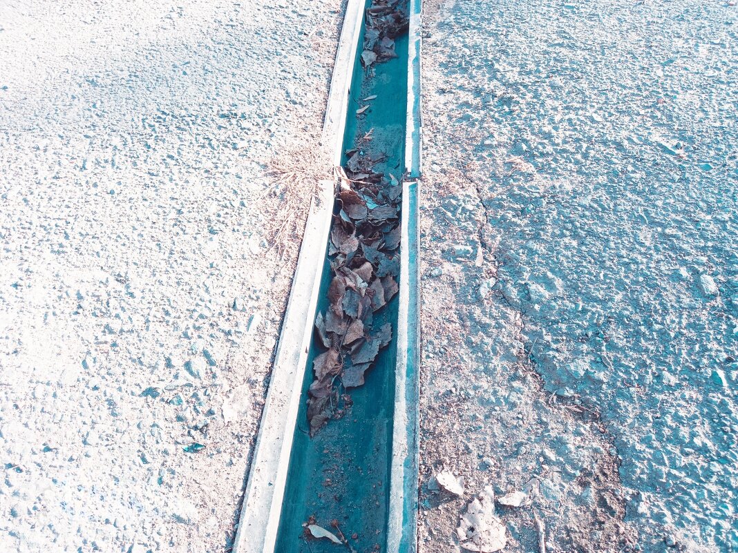 Прошлогодняя осень. - Игорь Солдаткин