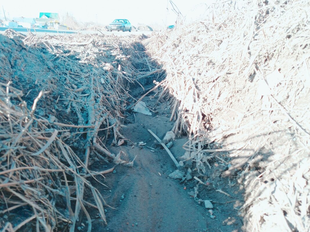 Траншейка для дождя. - Игорь Солдаткин