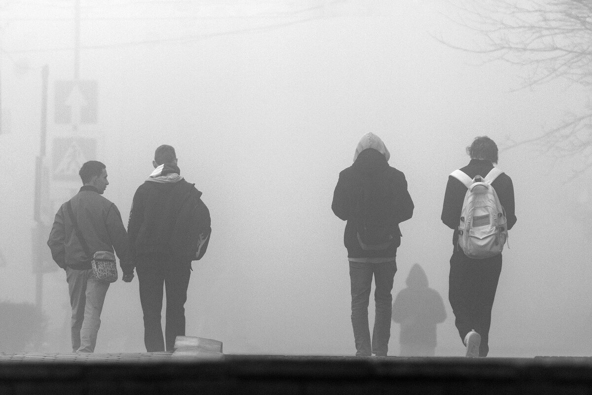 Туманные перспективы молодёжи. - Анатолий. Chesnavik.