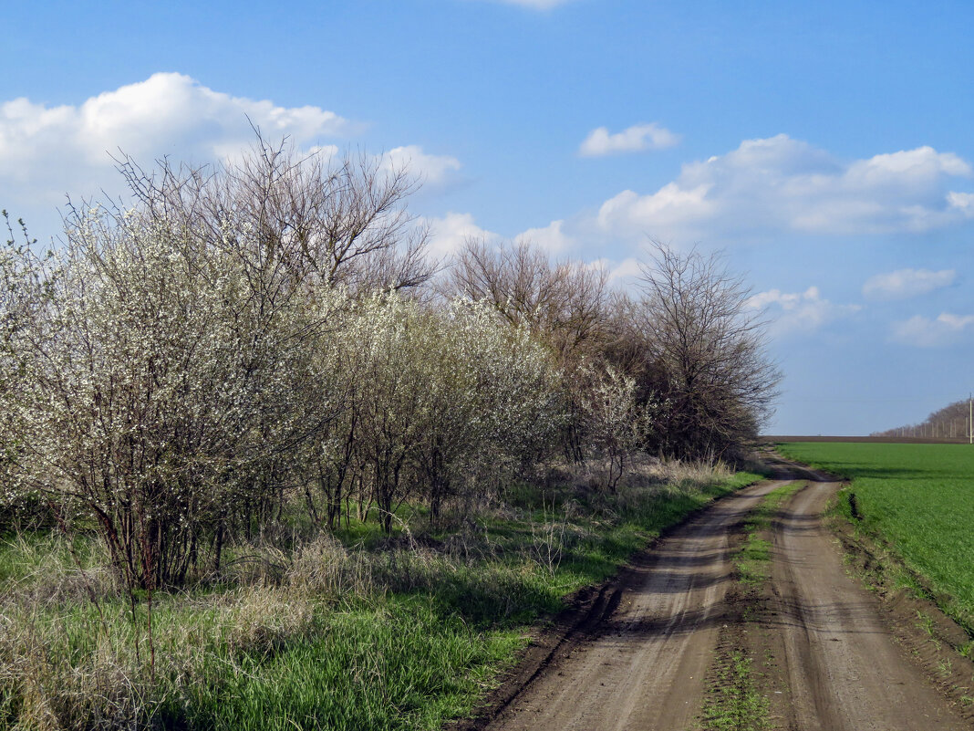Весенний пейзаж - Валерий Ткаченко