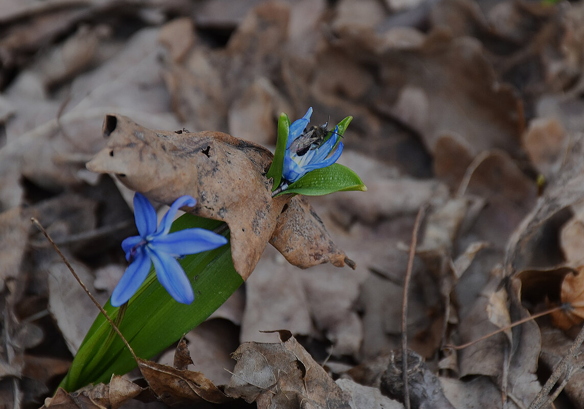 К солнцу! - Валентина Нефёдова К солнцу! - Валентина Нефёдова