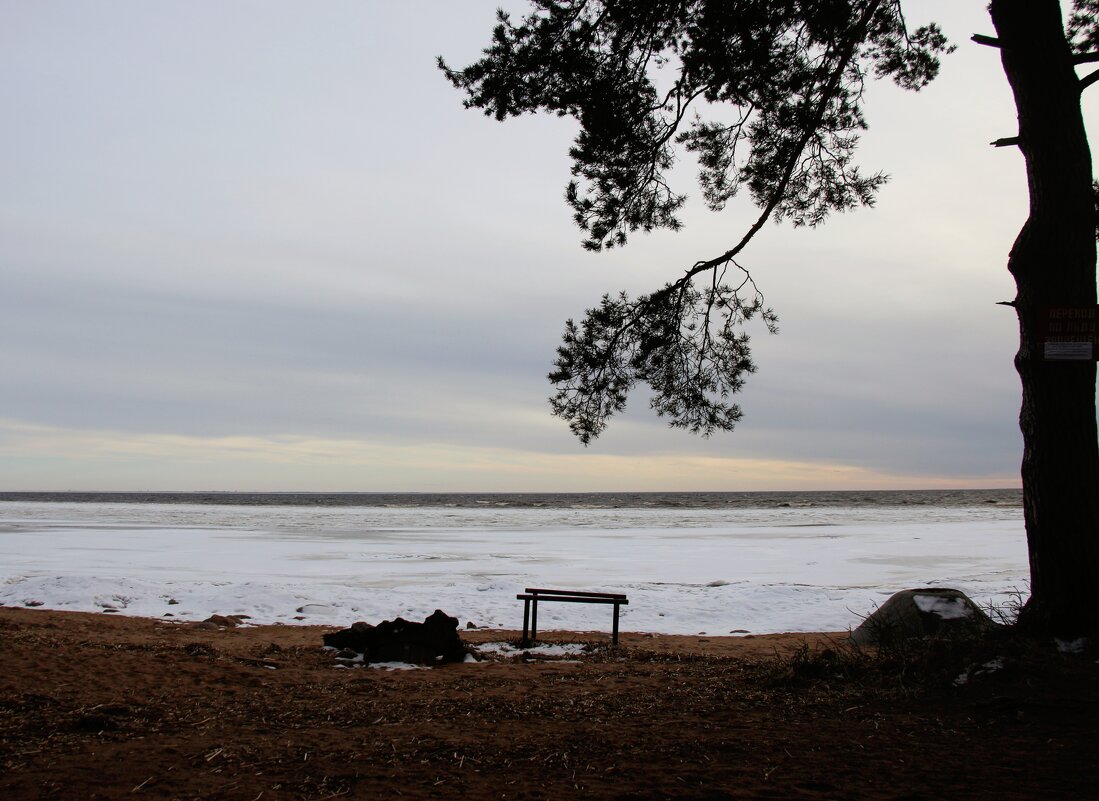 Зеленогорск - Наталья Герасимова Зеленогорск - Наталья Герасимова