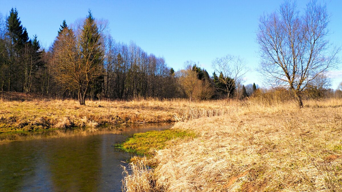 Так быстро пролетел март! - Милешкин Владимир Алексеевич 