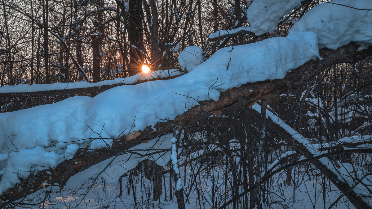 .. - Жора Житников .. - Жора Житников