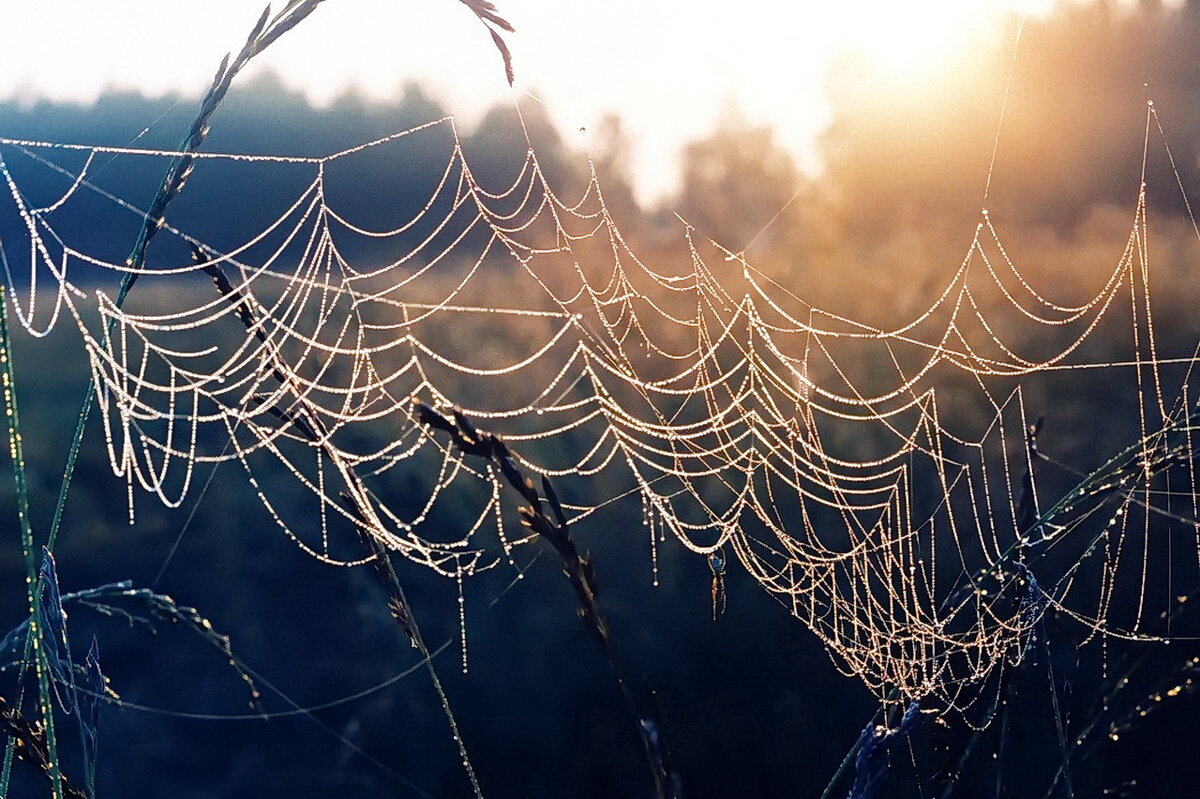 +++++ - Александр Лад