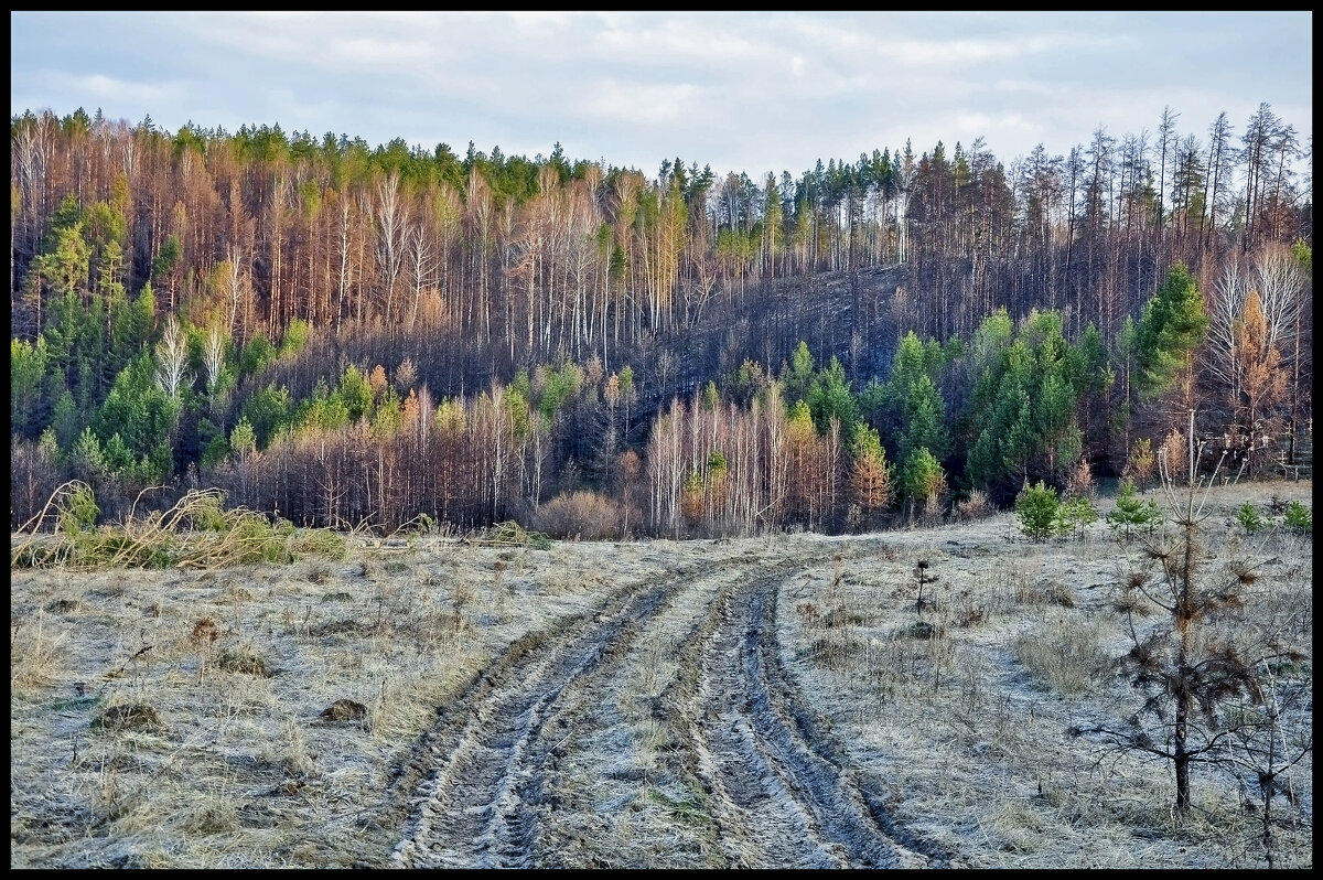 Осень, утро - **** vedin Осень, утро - **** vedin