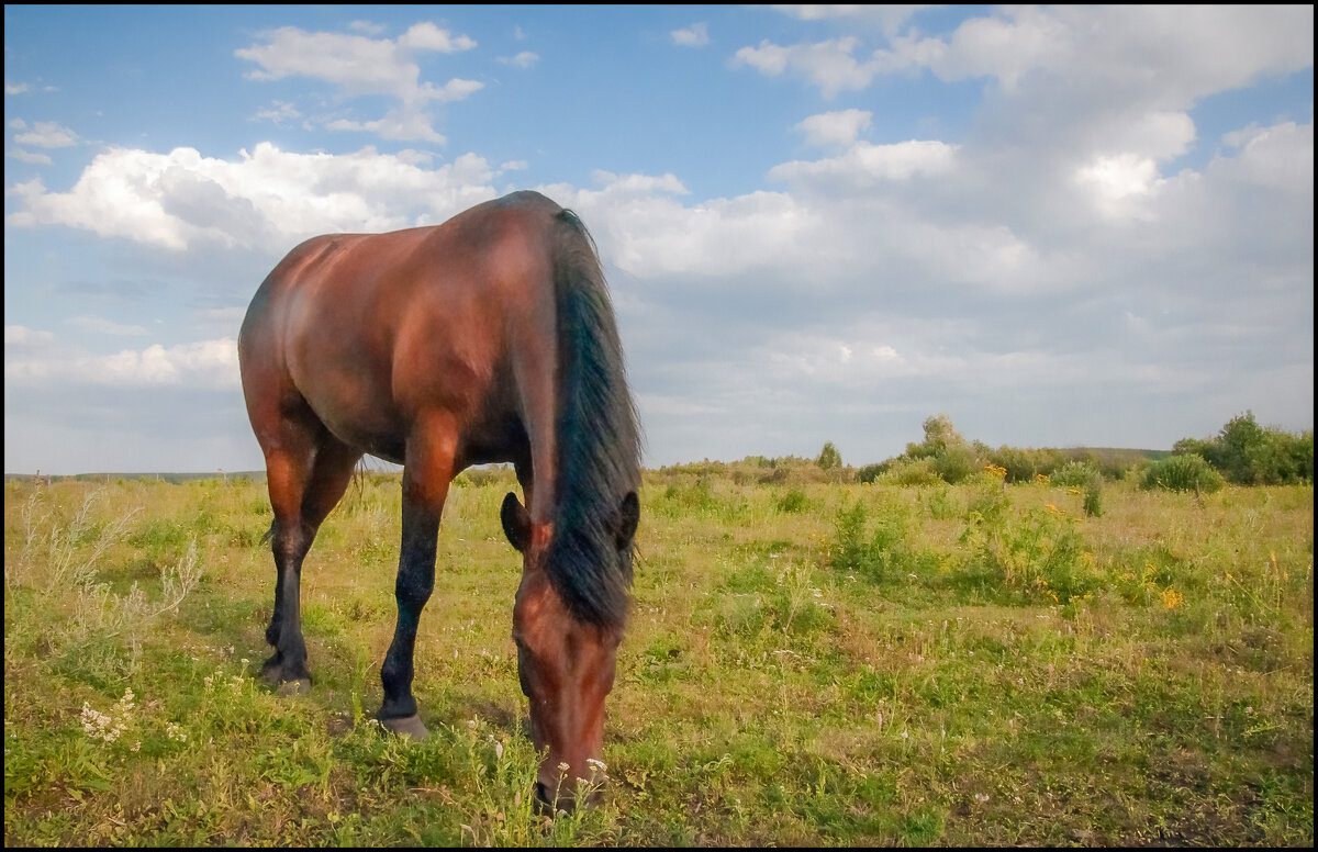 За околицей - **** vedin За околицей - **** vedin
