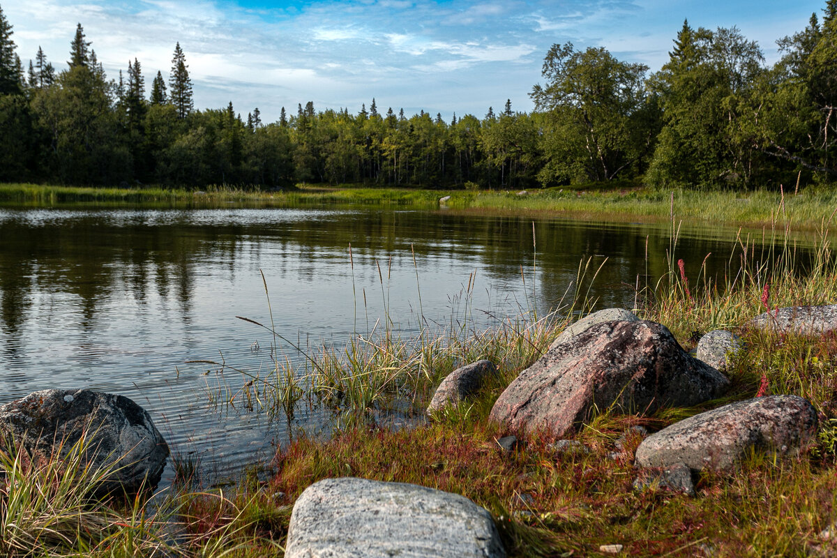 Пресное озеро - Александр Силинский Пресное озеро - Александр Силинский