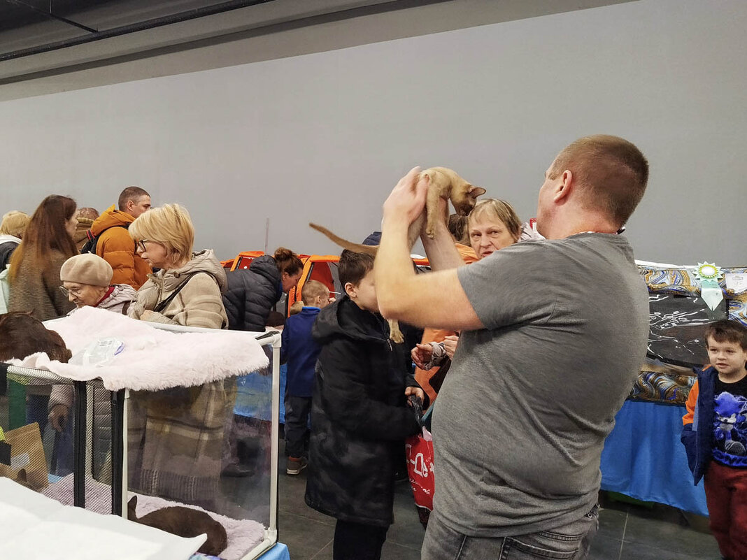 ГАГАРИНСКИЕ_КОШКИ_5 - Сергей Янович Микк ГАГАРИНСКИЕ_КОШКИ_5 - Сергей Янович Микк