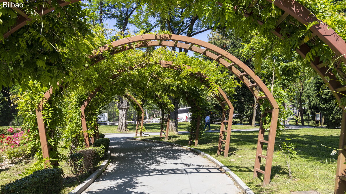 Бильбао - Michael M Бильбао - Michael M