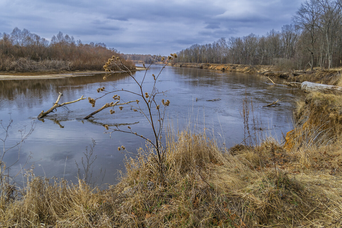 Март на Клязьме.Льда нет,половодья не ожидается - Сергей Цветков