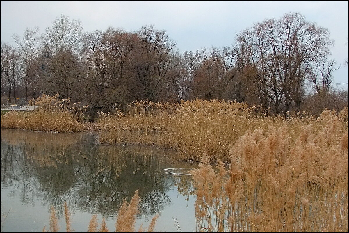Река в марте - Фёдор Меркурьев
