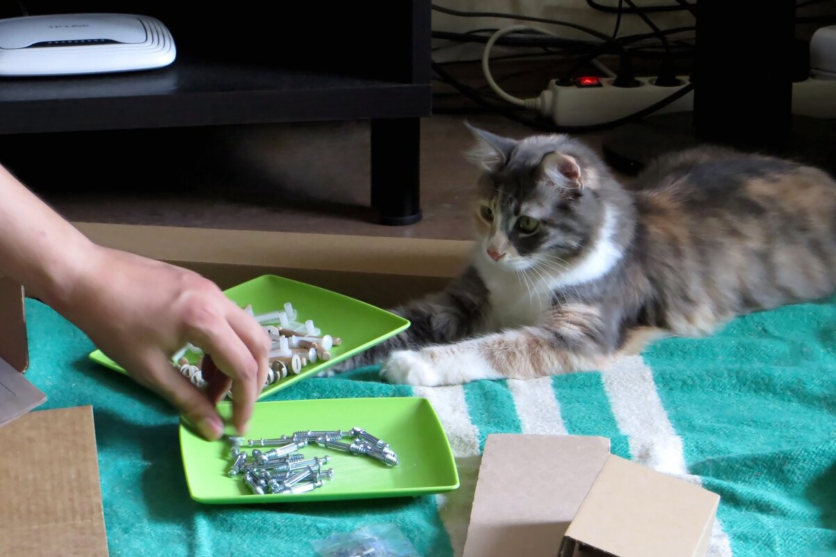 Как же без Евы мебель собирать!? - Татьяна Смоляниченко