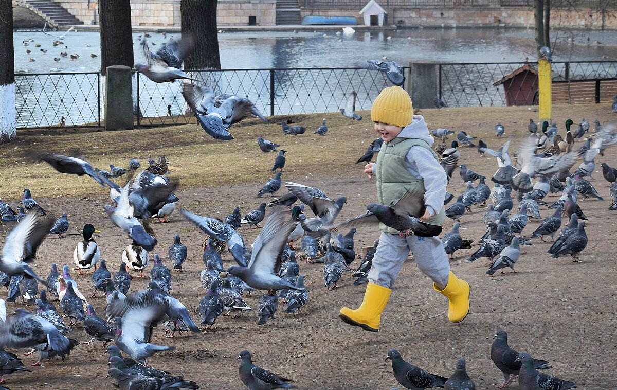 И голубей погоняли жёлтые сапожки.. - Татьяна Помогалова И голубей погоняли жёлтые сапожки.. - Татьяна Помогалова
