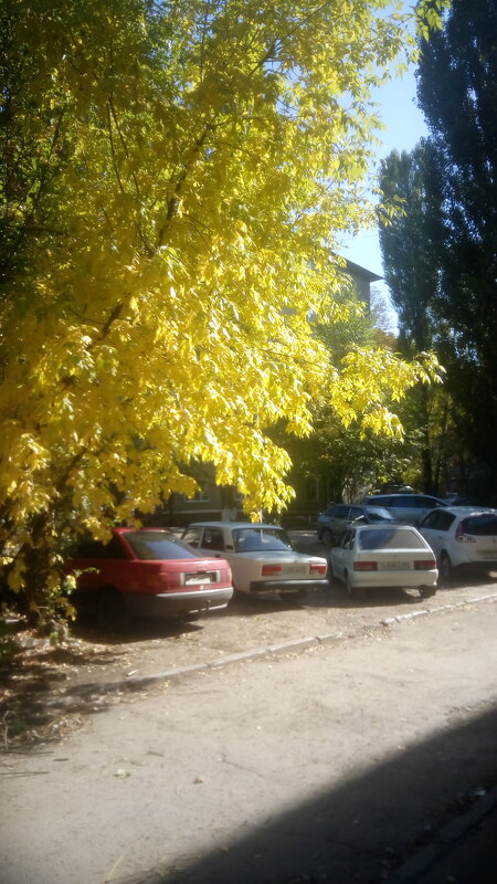 ,,, - Сергей Тимоновский