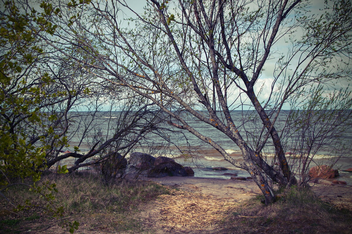 У Чудского озера - lady v.ekaterina