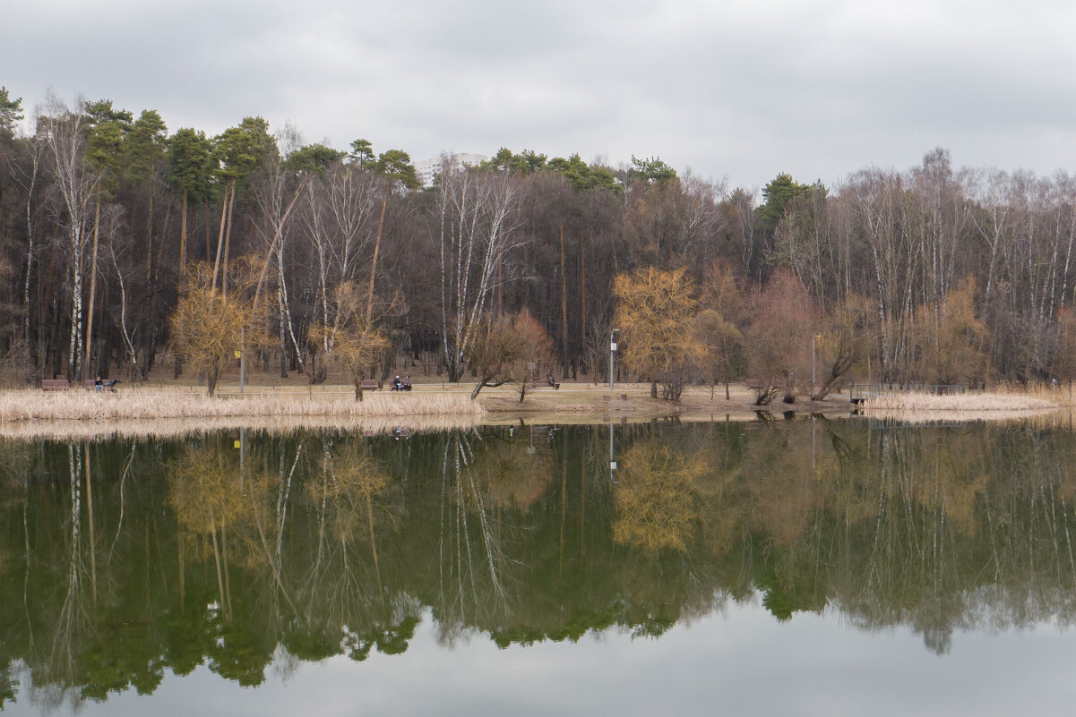 Начало весны. Покровское-Стрешнево - Олег Дорошенко Начало весны. Покровское-Стрешнево - Олег Дорошенко