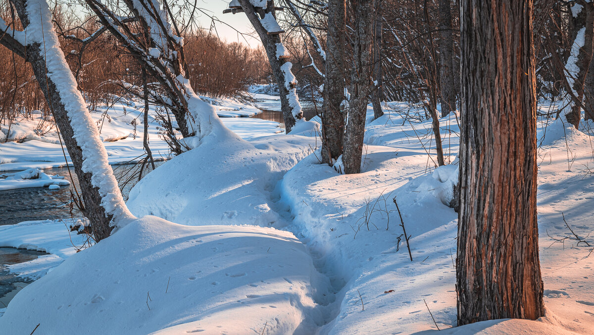 ... - Жора Житников