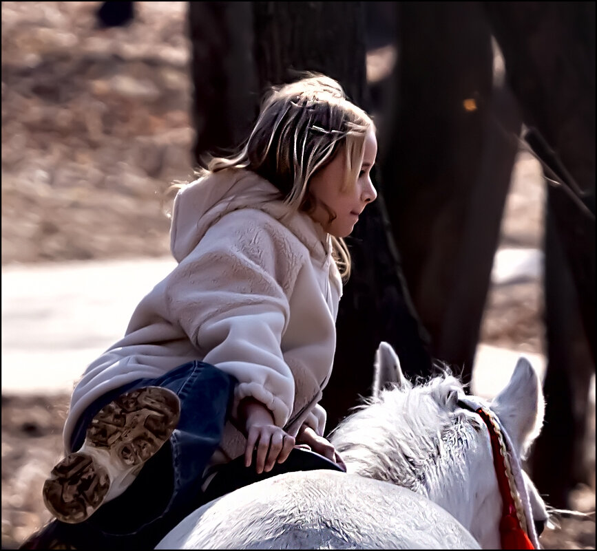 На коня! - Александр Тарноградский