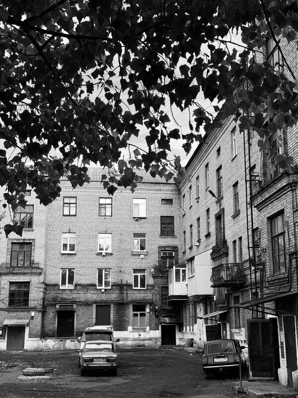 *** - Яна Горбунова