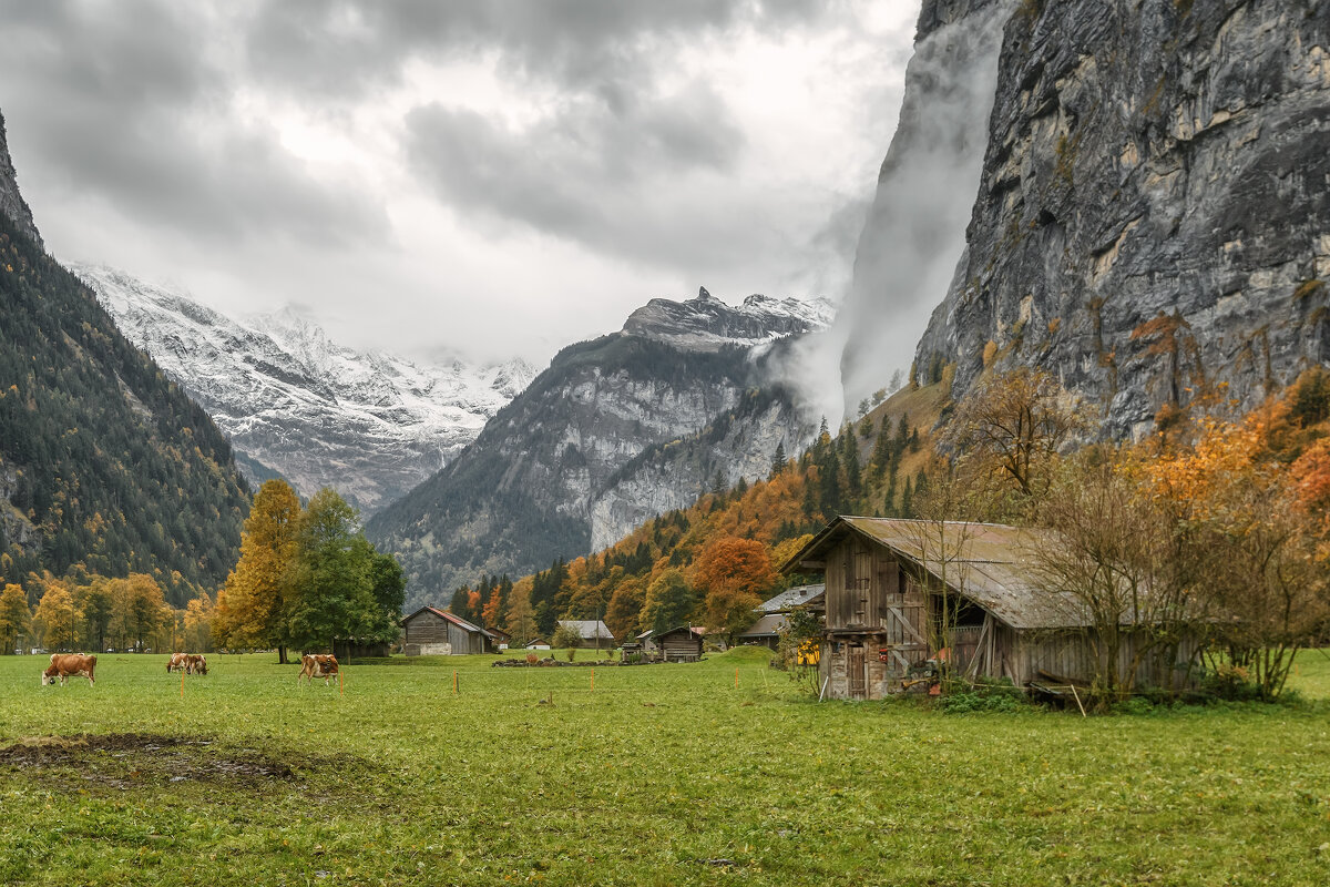 Швейцария - Владимир Колесников Швейцария - Владимир Колесников